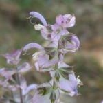 P1020020
