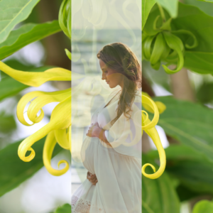 Ylang-femme enceinte