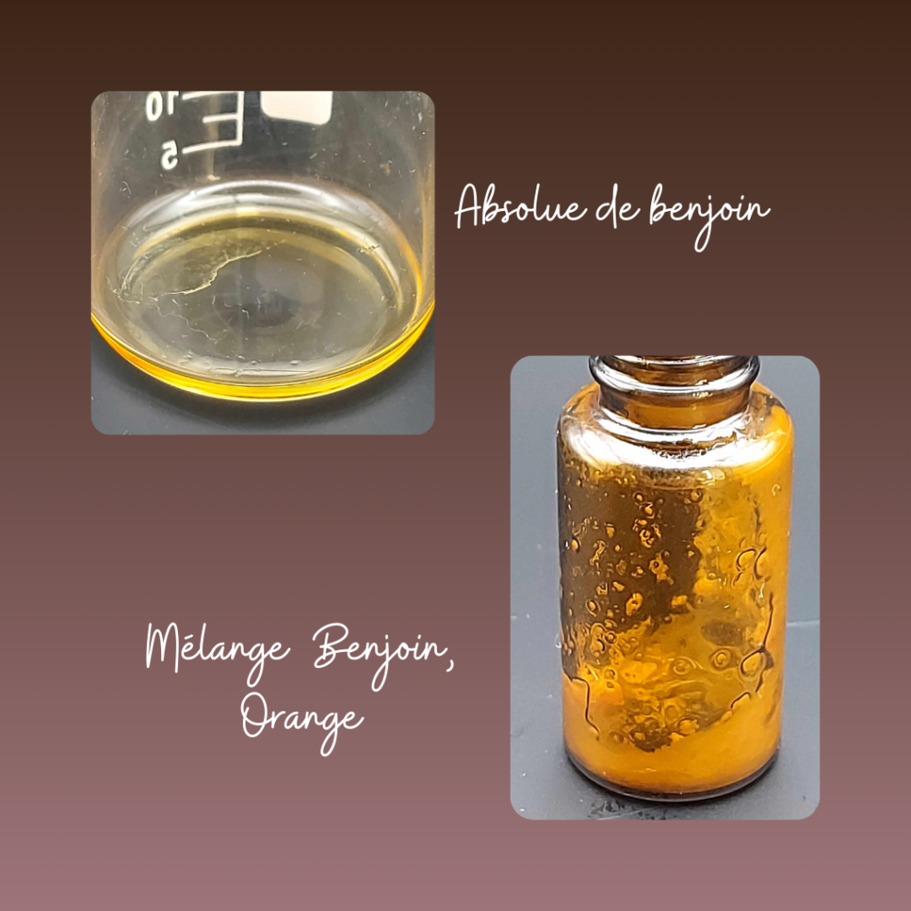 Benjoin Orange