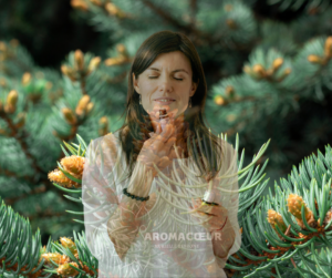 Epinette olfaction