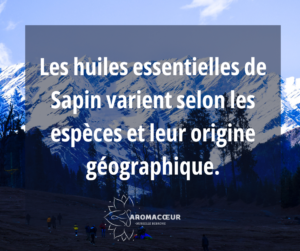 Sapin