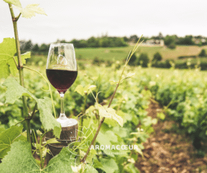 Verre de vin rouge