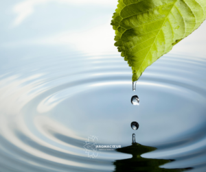 Goutte d’eau tombant d’une feuille dans l’eau, symbole du souffle et de la respiration.