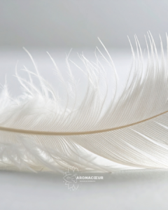 Plume blanche évoquant une caresse