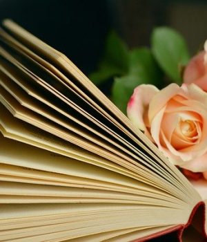 book-1769228_640 book-1769228_640