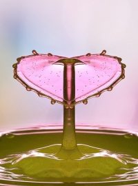 drop-of-water-2195585_640 drop-of-water-2195585_640
